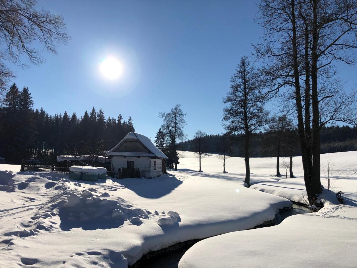 Hotel A Penzion Pegas Vlachovice 외부 사진