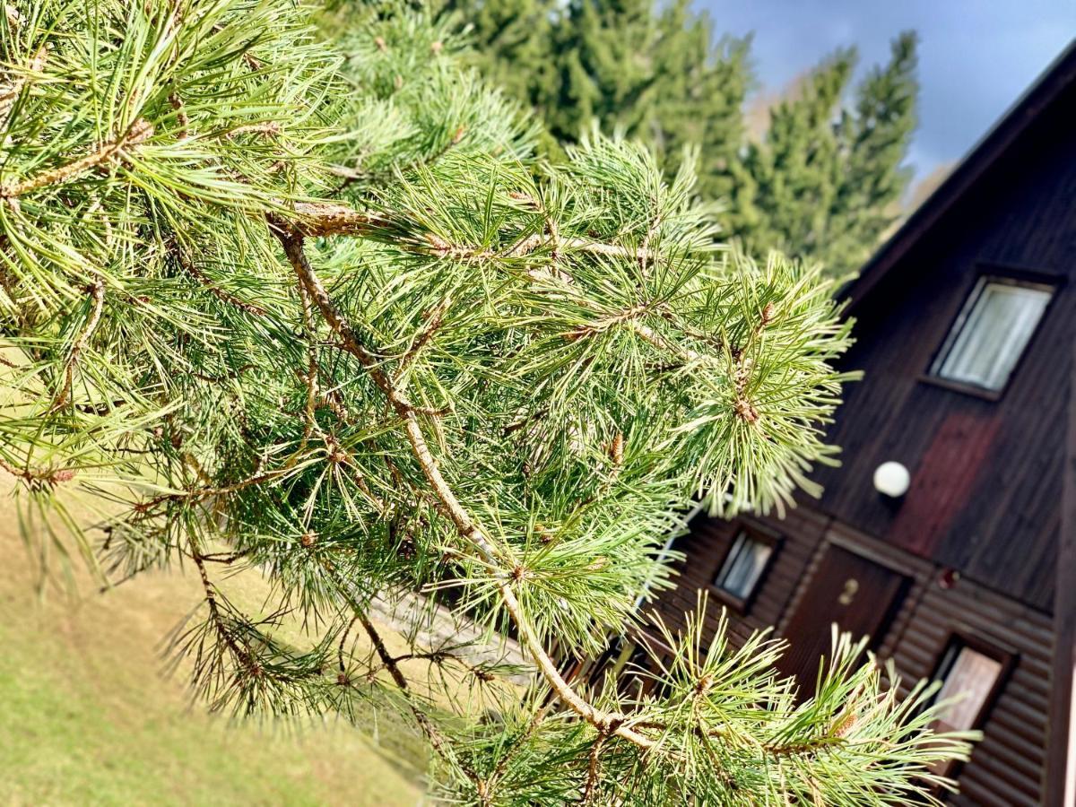 Hotel A Penzion Pegas Vlachovice 외부 사진